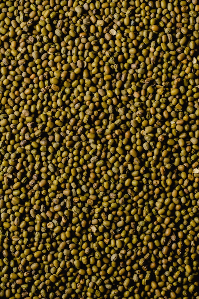 Close-up top view of a pile of mung beans forming a textured green background.